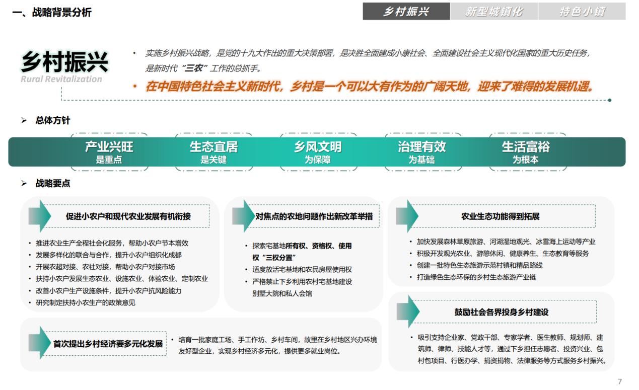 战略背景分析
