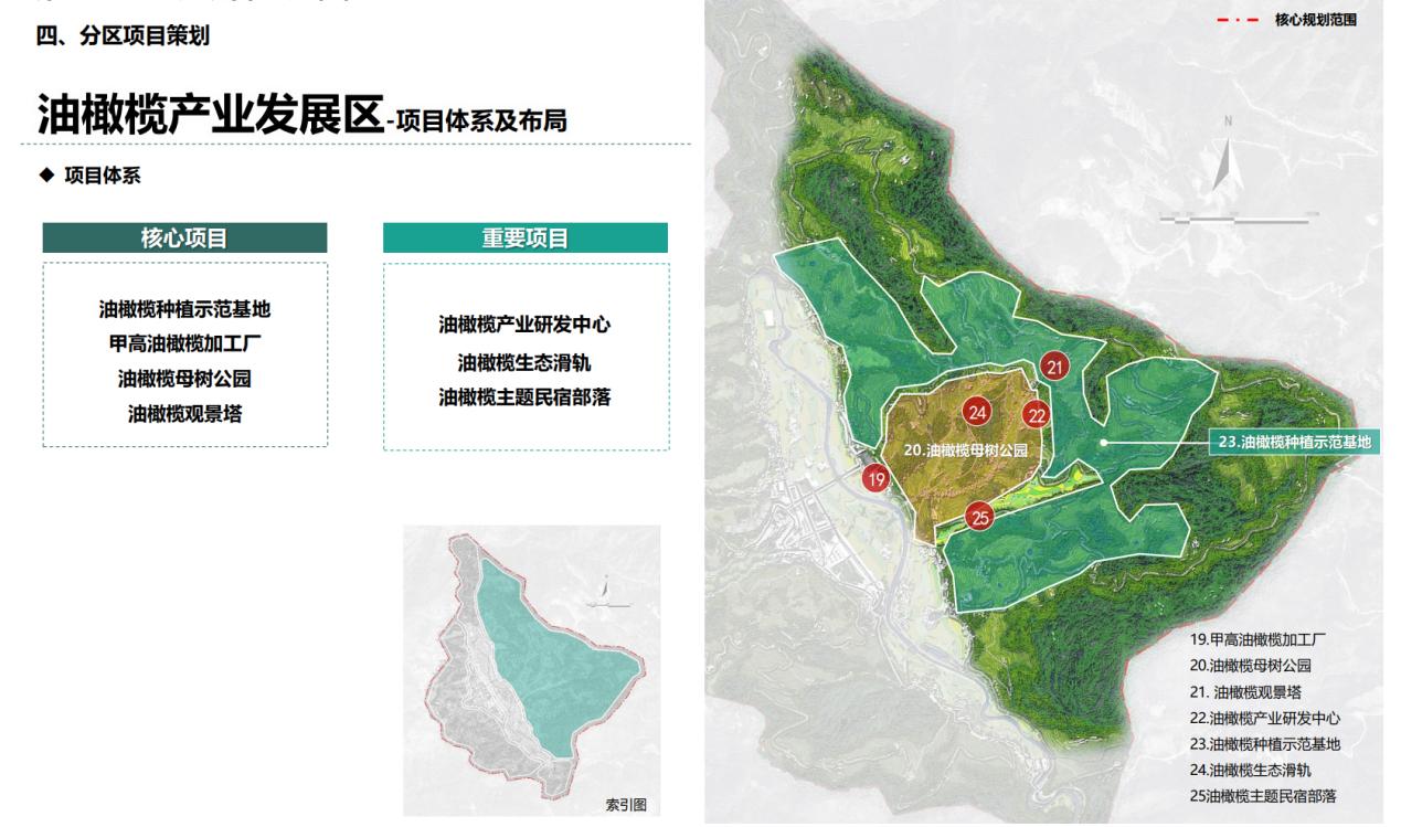 油橄榄产业发展区-项目体系及布局