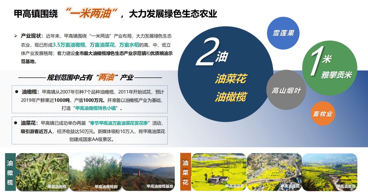 一米两油产业布局