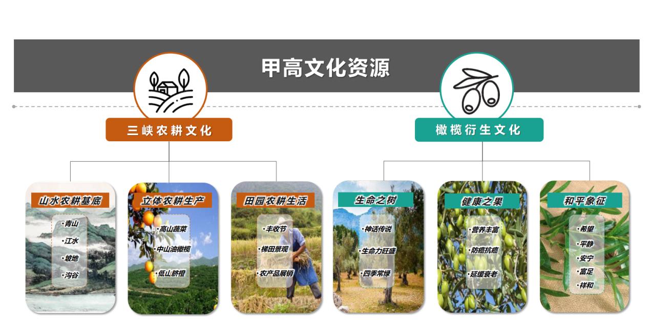 甲高文化资源