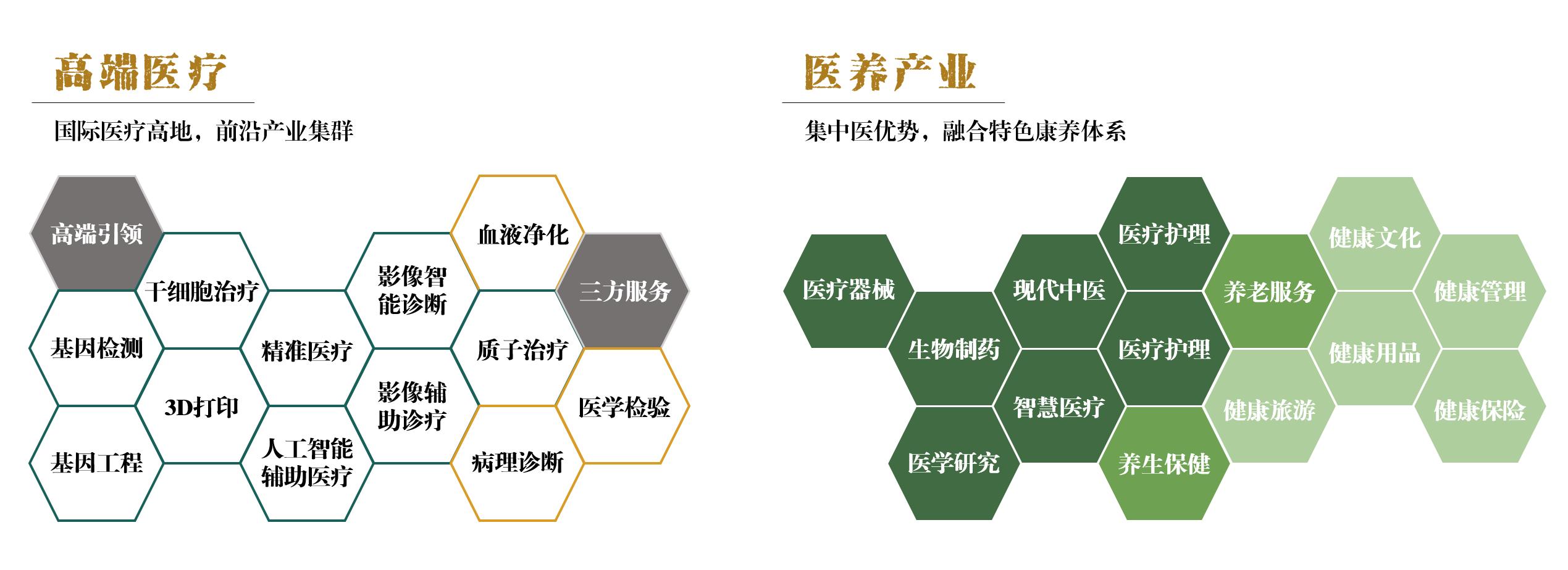 高端医疗与医养产业