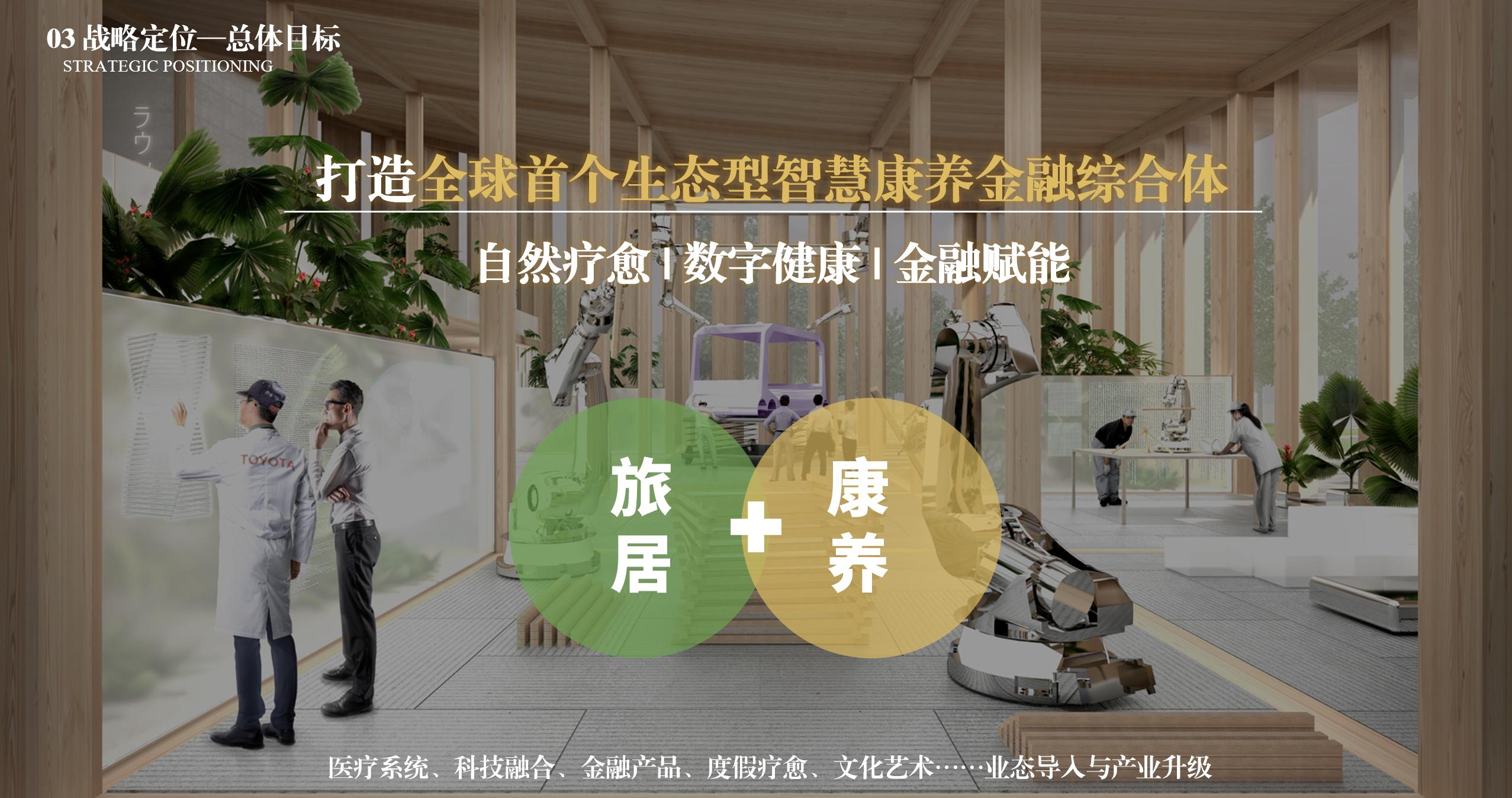 战略定位—总体目标