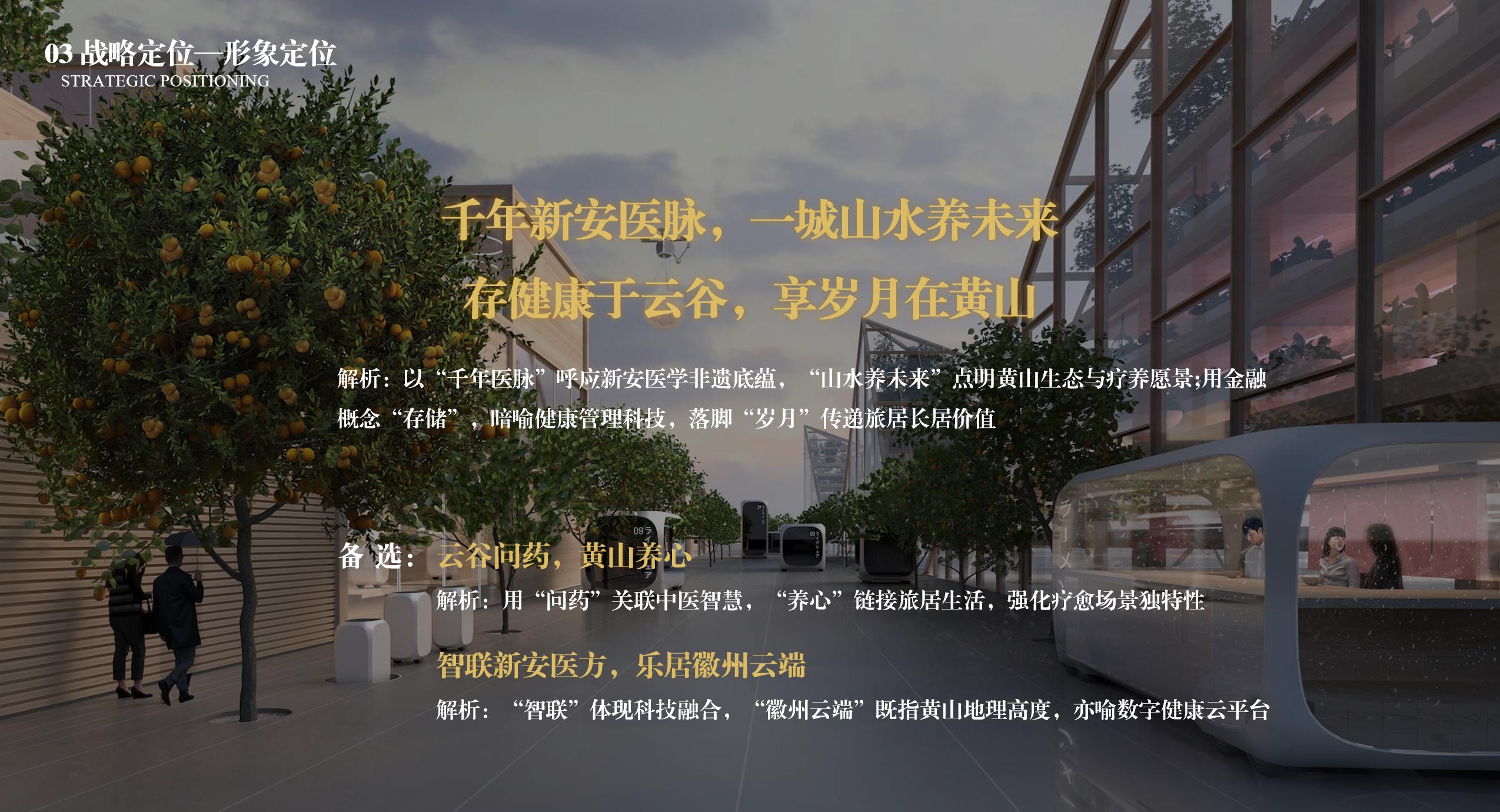 战略定位—形象定位与驱动模式